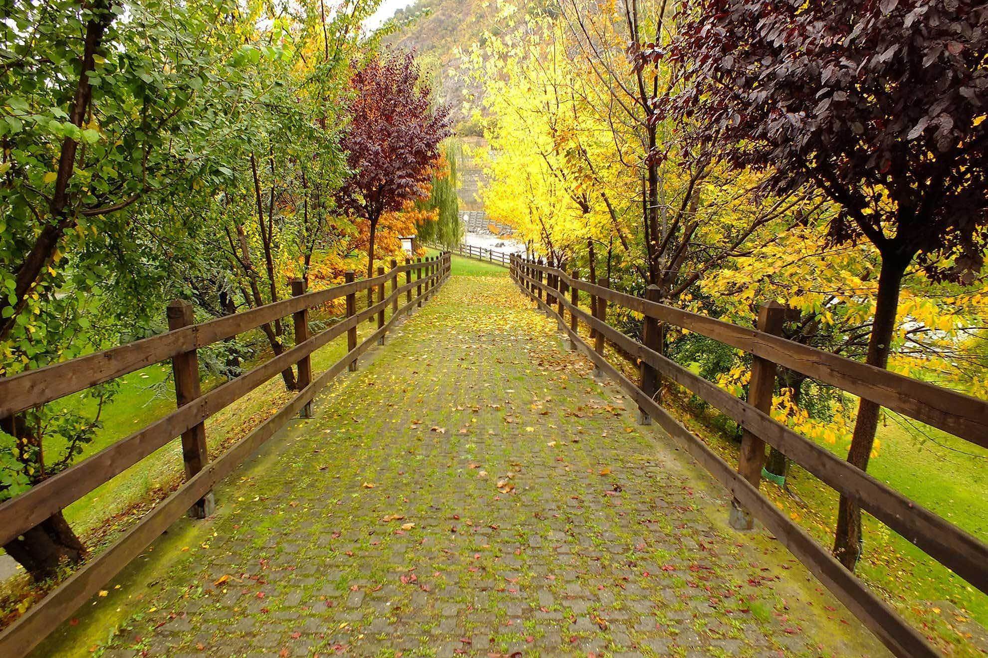 Recupero Anni Scolastici Valle d'Aosta